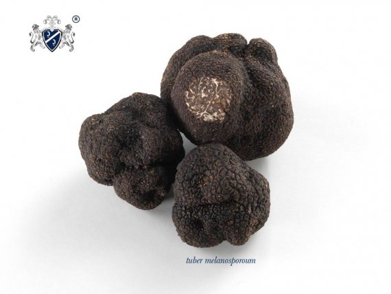 Black Truffles - Melanosporum 100g - Market Price | Princesse d ...